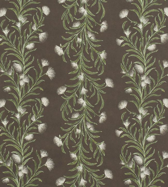 Tasmanian Mimosa Wallpaper by Schumacher Brown & Green