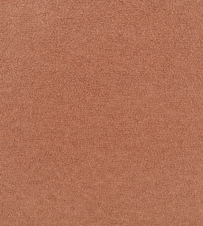 Teddy FR Fabric by Kirkby Design Cedar