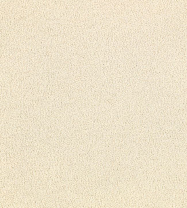 Teddy FR Fabric by Kirkby Design Cream