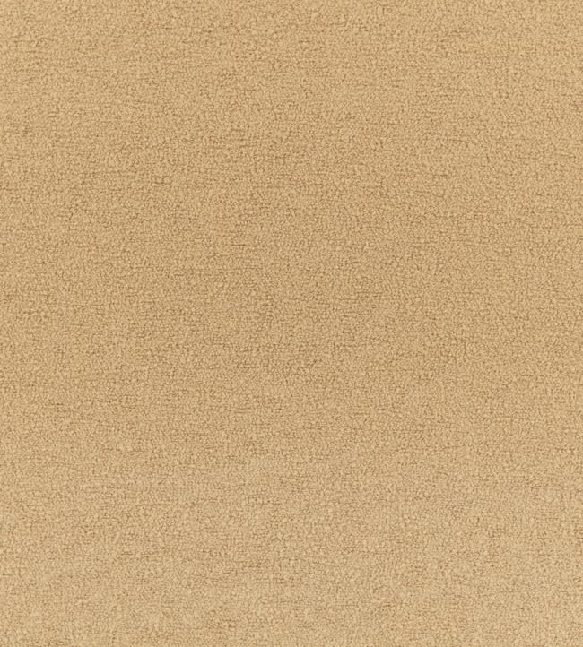 Teddy FR Fabric by Kirkby Design Havana