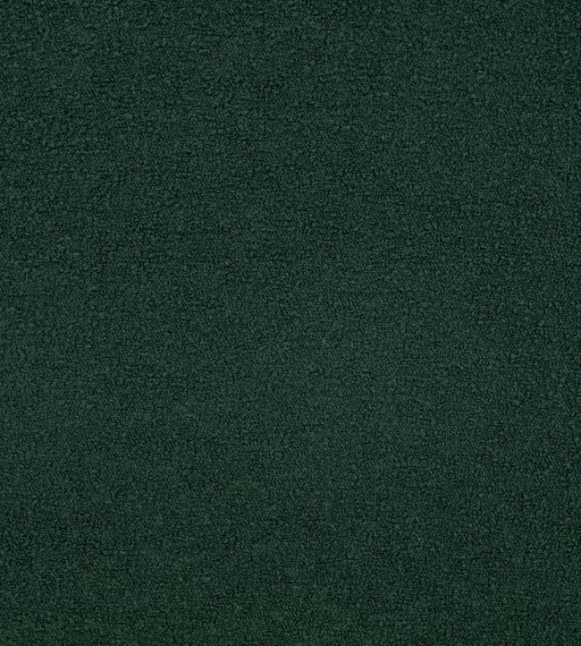 Teddy FR Fabric by Kirkby Design Pine Green