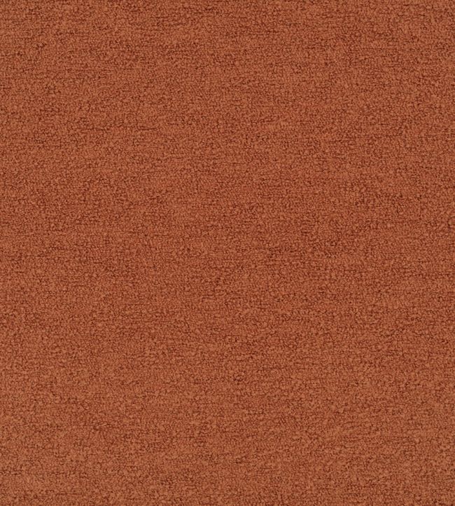 Teddy FR Fabric by Kirkby Design Terracotta