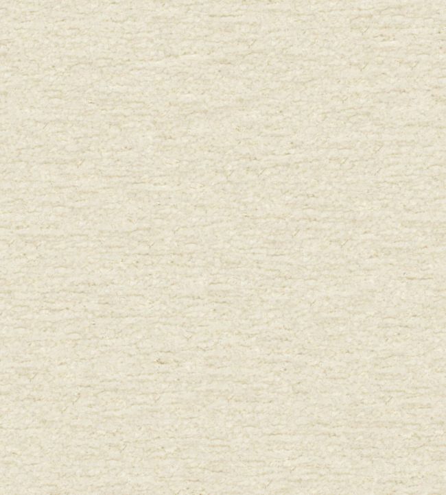Teddy Fabric by Wemyss Cream