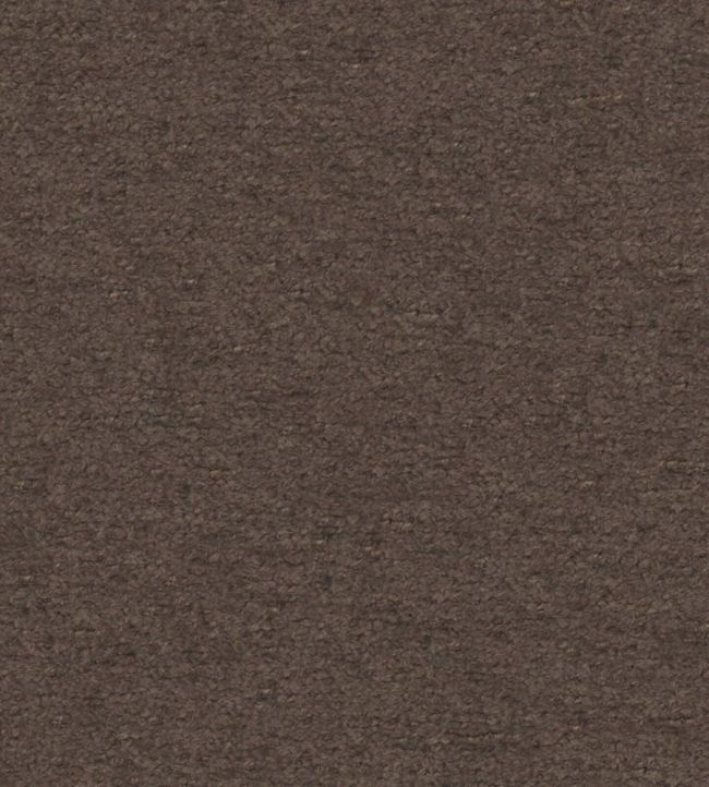 Teddy Fabric by Wemyss Espresso