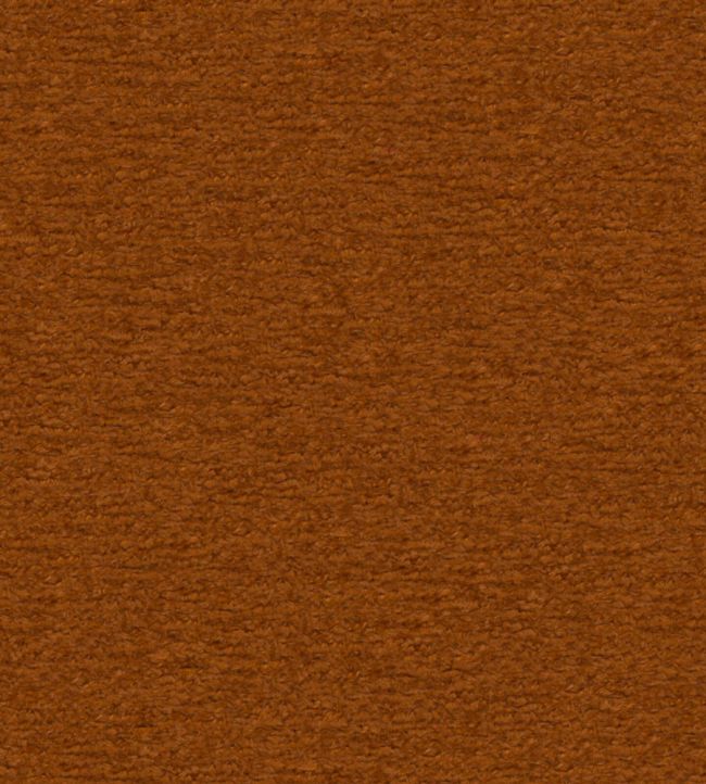 Teddy Fabric by Wemyss Ginger