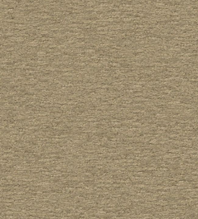Teddy Fabric by Wemyss Khaki