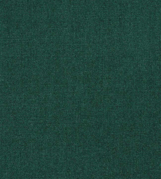 Tela Fabric by Thibaut Forest