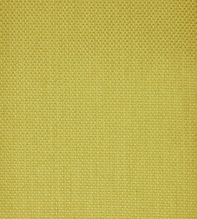 Tempera in Marwood Fabric by Liberty Fennel