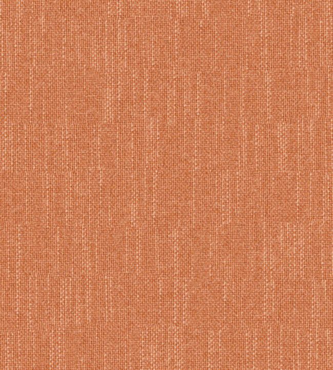 Tenby Fabric by Wemyss Apricot