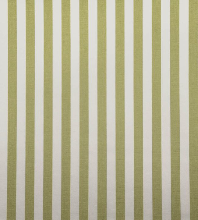 Tequila Fabric by Casal Pomme