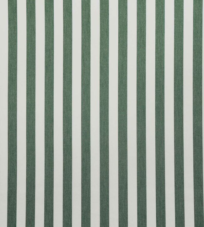 Tequila Fabric by Casal Sapin