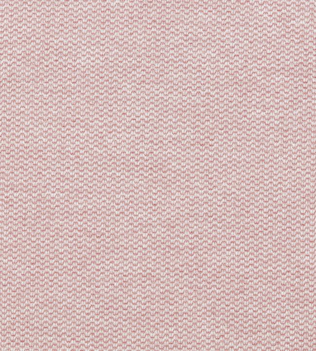 Tergo Fabric by Clarke & Clarke Blush