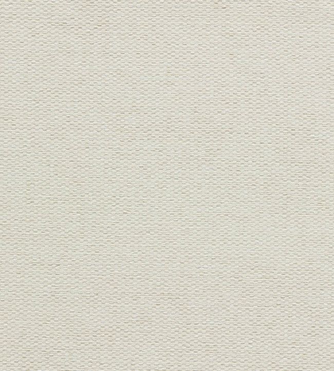 Tergo Fabric by Clarke & Clarke Ivory