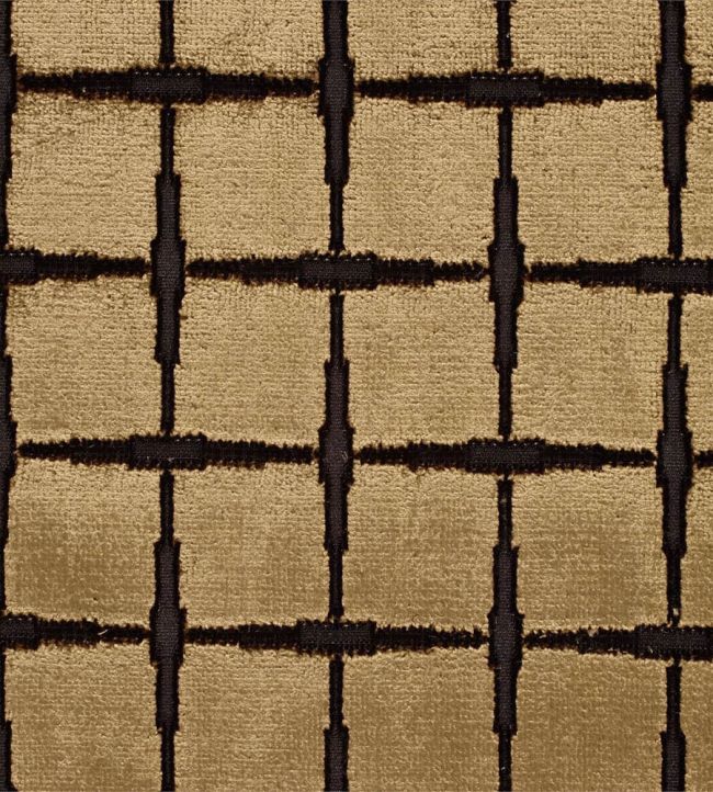 Tespi Square Fabric by Zoffany Old Gold