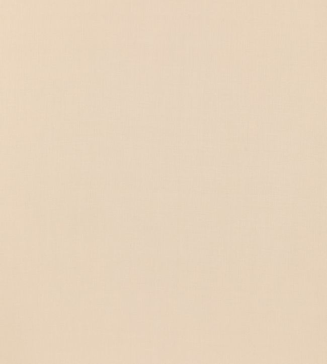 Tetbury Linen Fabric by GP & J Baker Dove