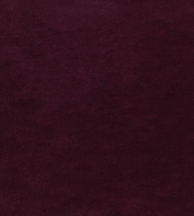 Tetbury Velvet Fabric by GP & J Baker Aubergine