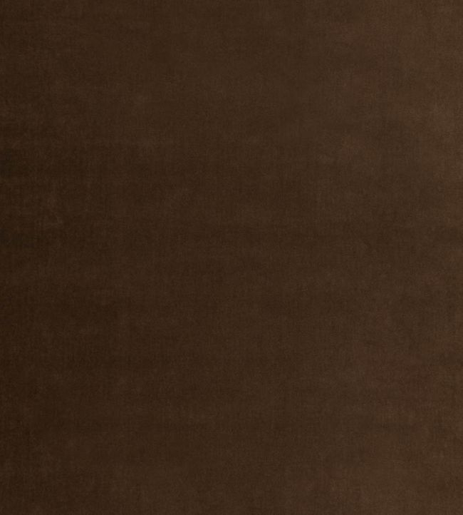 Tetbury Velvet Fabric by GP & J Baker Espresso