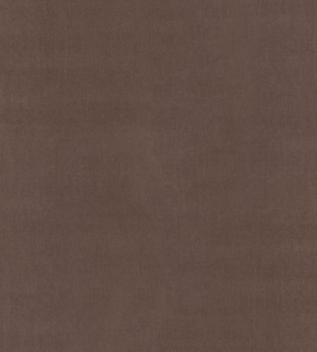 Tetbury Velvet Fabric by GP & J Baker Mole