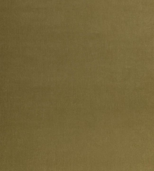 Tetbury Velvet Fabric by GP & J Baker Moss