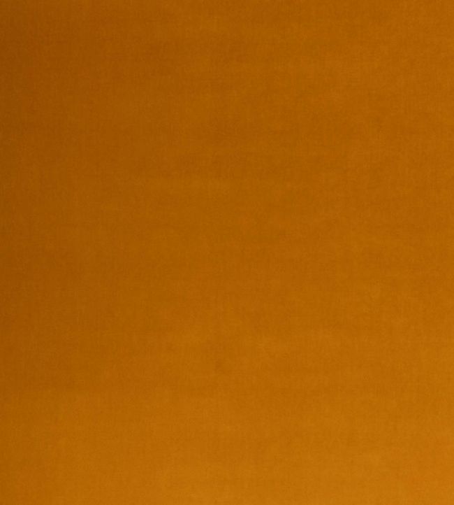 Tetbury Velvet Fabric by GP & J Baker Ochre