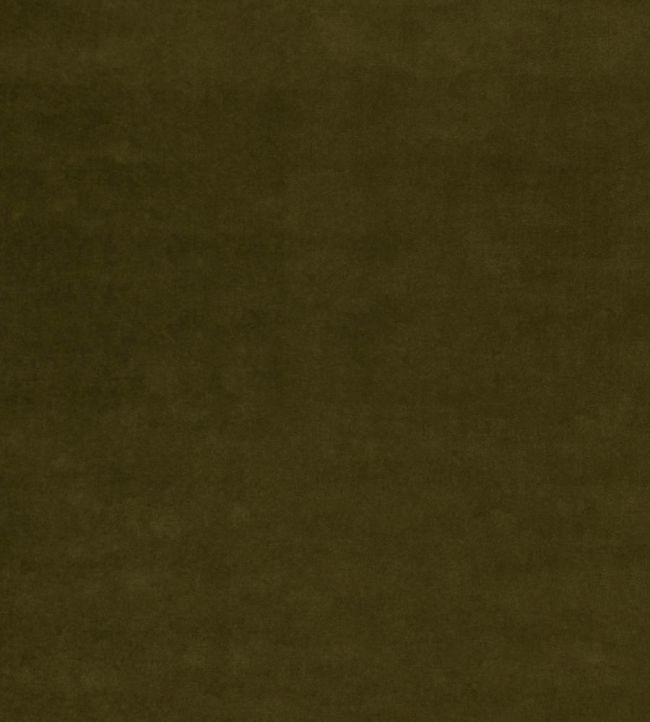 Tetbury Velvet Fabric by GP & J Baker Olive