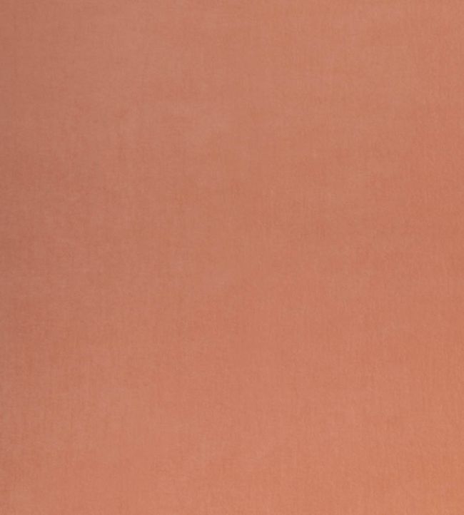 Tetbury Velvet Fabric by GP & J Baker Plaster