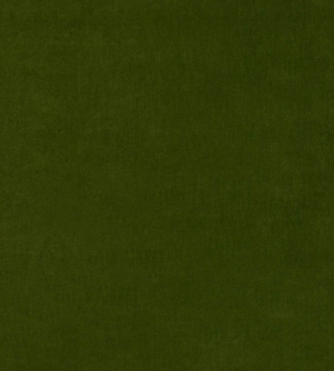 Tetbury Velvet Fabric by GP & J Baker Spruce