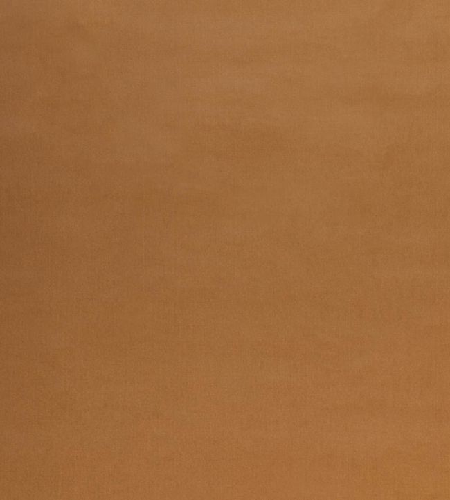 Tetbury Velvet Fabric by GP & J Baker Camel
