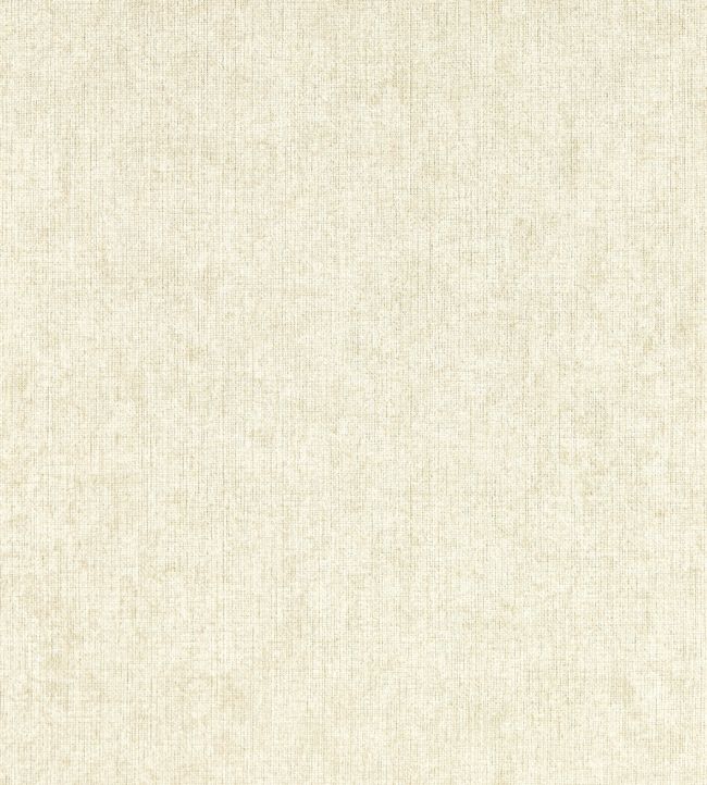 Texo Wallpaper by Clarke & Clarke Alabaster