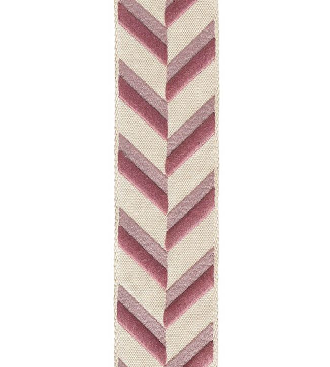 Thalia Embroidered Braid 55mm Trimming by Houles 9400