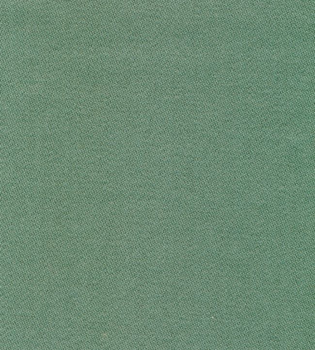 Liso Fabric by The Isle Mill Kiwi
