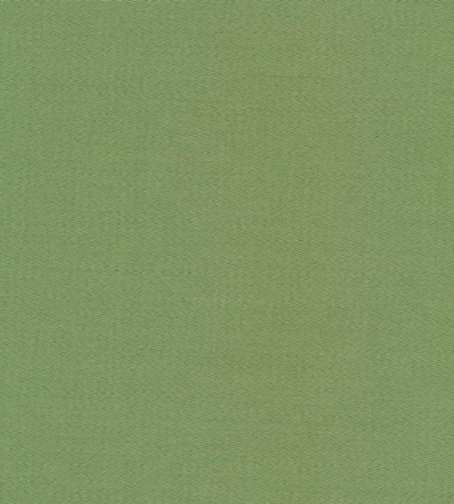 Liso Fabric by The Isle Mill Orchard