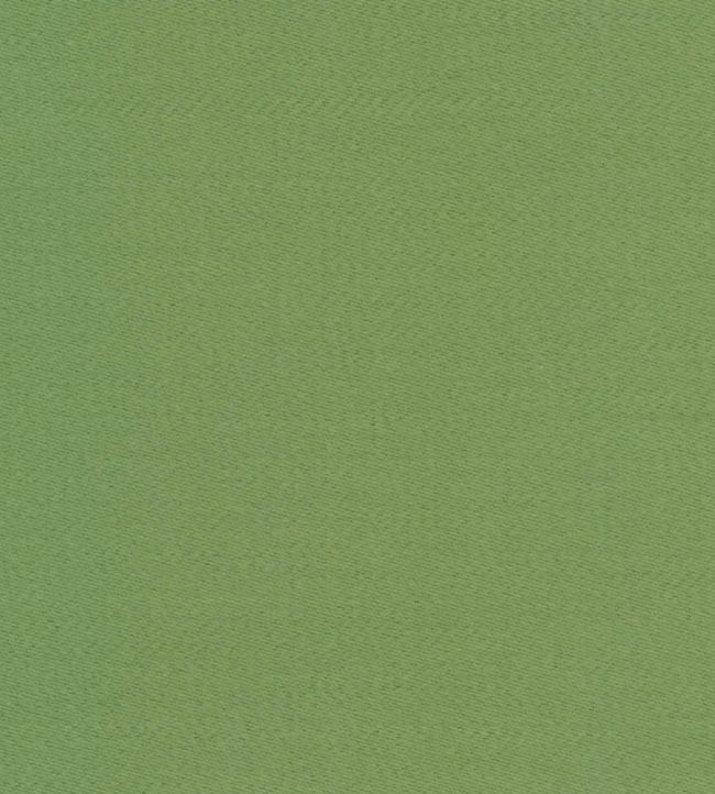 Liso Fabric by The Isle Mill Parakeet