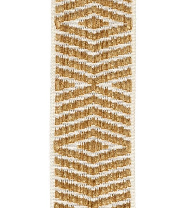 Themis Chenille Braid 76mm Trimming by Houles 9100