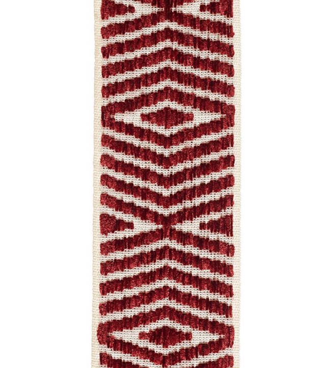 Themis Chenille Braid 76mm Trimming by Houles 9500