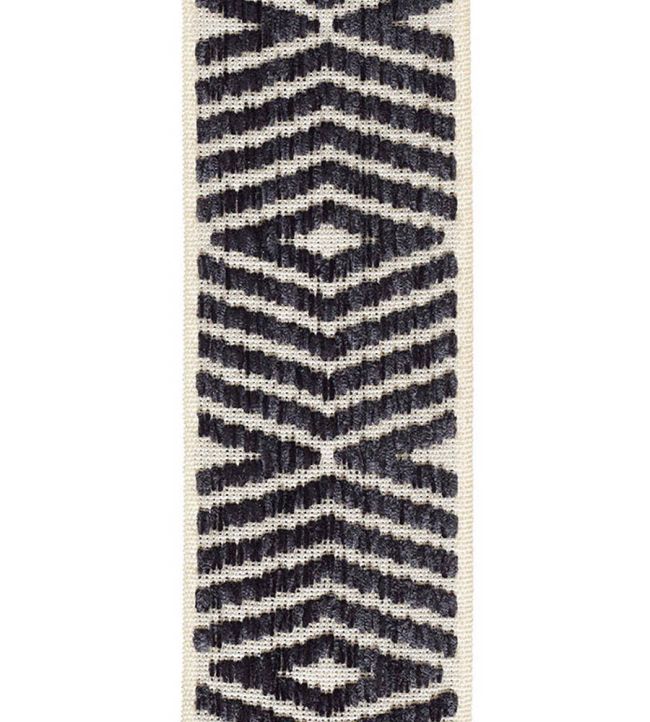 Themis Chenille Braid 76mm Trimming by Houles 9600