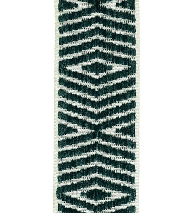 Themis Chenille Braid 76mm Trimming by Houles 9700