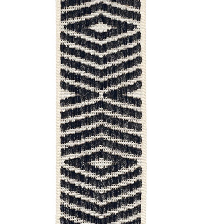 Themis Chenille Braid 76mm Trimming by Houles 9900