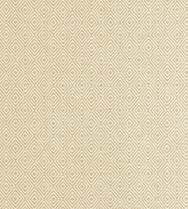 Theo Fabric by Thibaut Straw