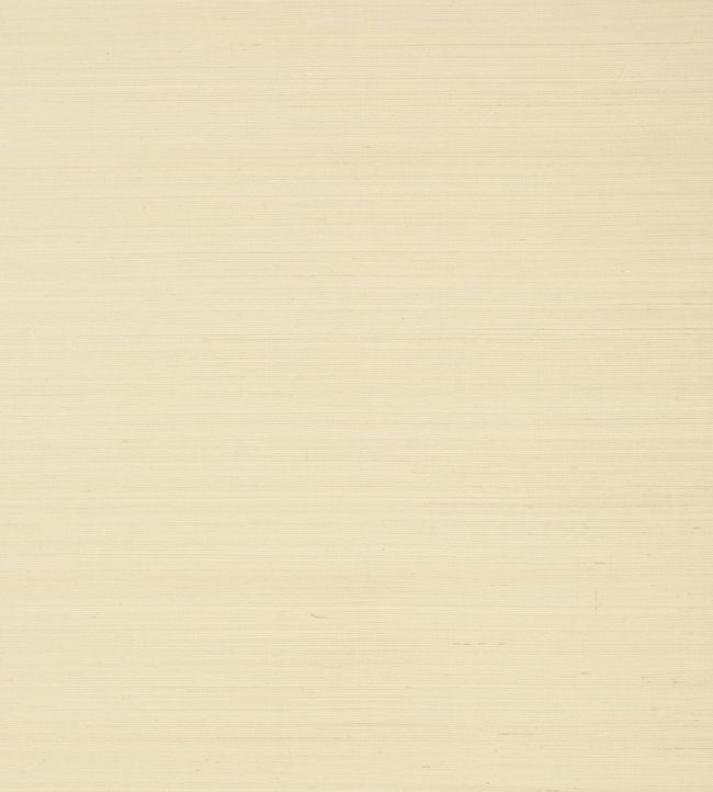 Shang Extra Fine Sisal Wallpaper by Thibaut Beige