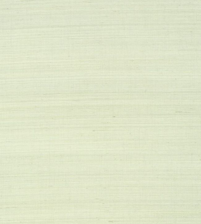 Shang Extra Fine Sisal Wallpaper by Thibaut Green Tea