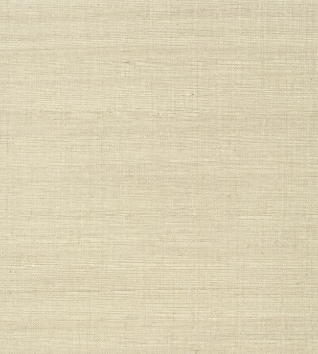 Shang Extra Fine Sisal Wallpaper by Thibaut Flax