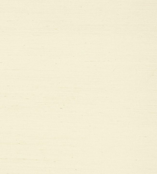 Shang Extra Fine Sisal Wallpaper by Thibaut Blonde