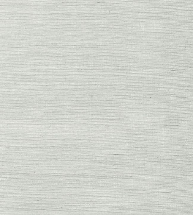 Shang Extra Fine Sisal Wallpaper by Thibaut Slate