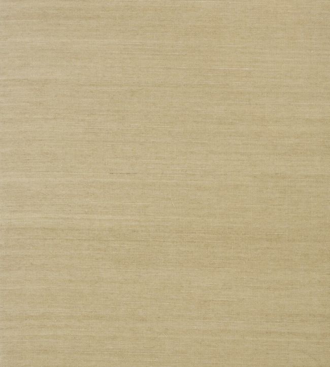 Shang Extra Fine Sisal Wallpaper by Thibaut Doe
