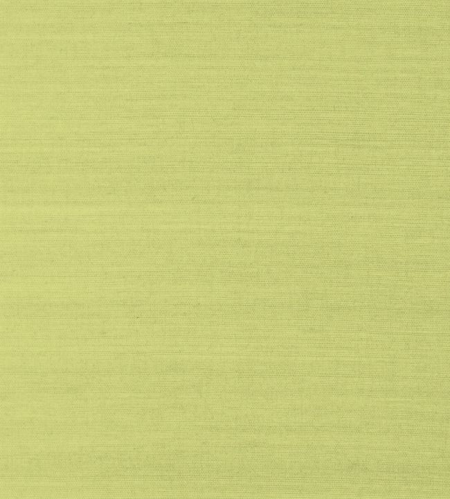 Shang Extra Fine Sisal Wallpaper by Thibaut Green