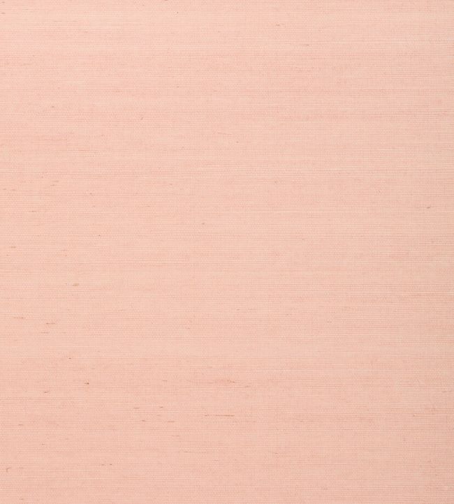 Shang Extra Fine Sisal Wallpaper by Thibaut Blush