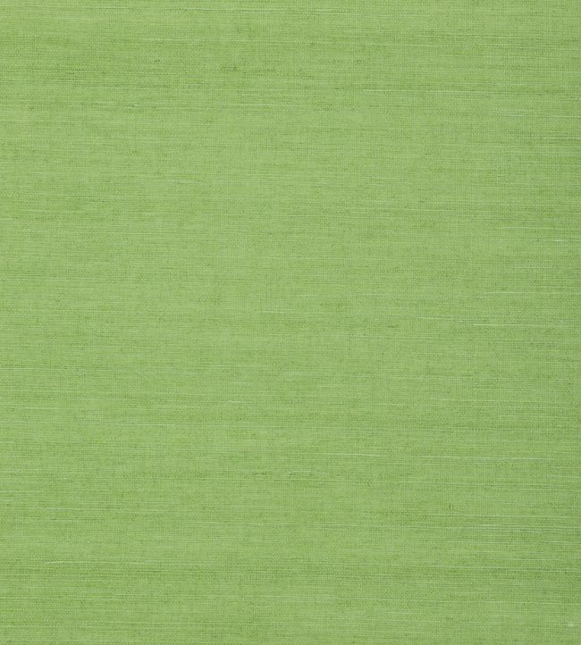 Shang Extra Fine Sisal Wallpaper by Thibaut Kelly Green