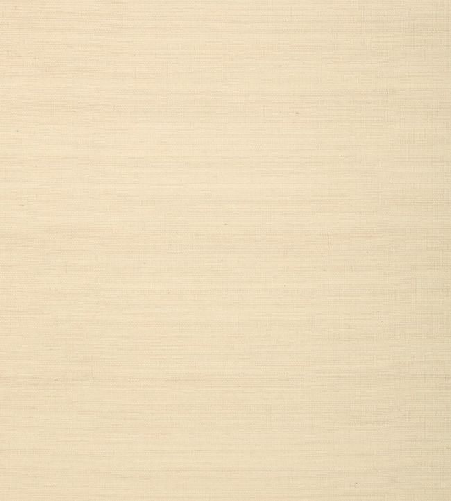 Shang Extra Fine Sisal Wallpaper by Thibaut Sand