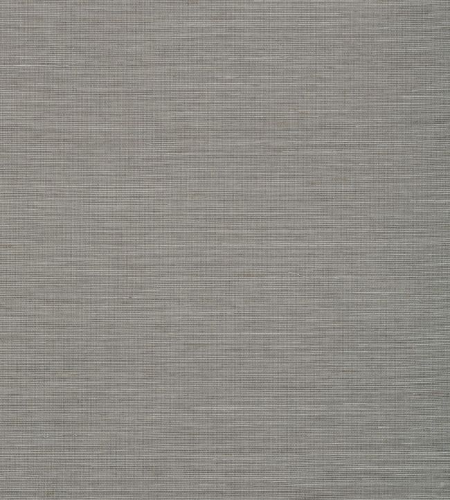 Shang Extra Fine Sisal Wallpaper by Thibaut Steel